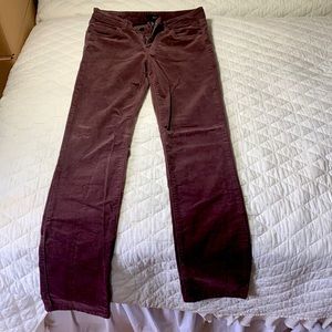 Burgundy corduroy boot leg pants